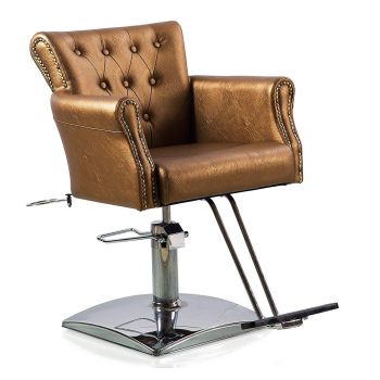 Stylish Hydraulic Salon Chair
